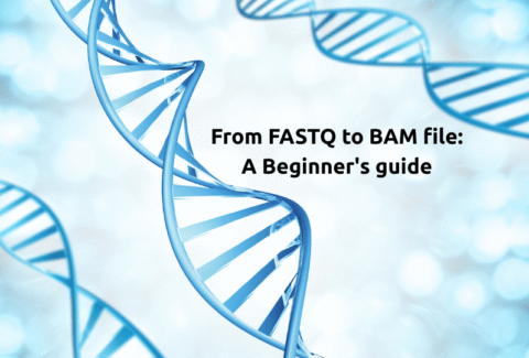 AD Bioinformatics (3)