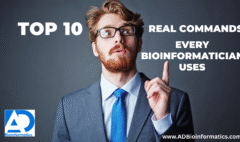 Social media strategy (1)