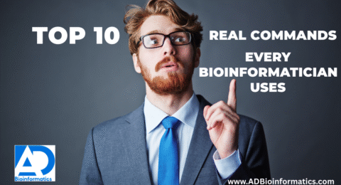 Social media strategy (1)