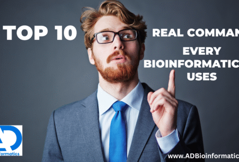 Social media strategy (1)