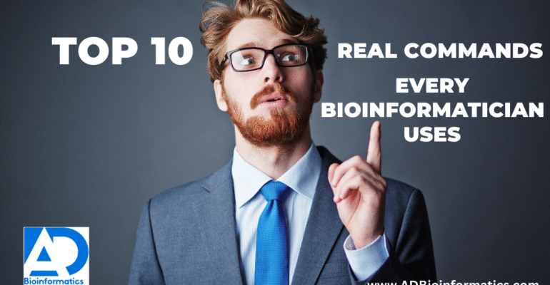 Social media strategy (1)