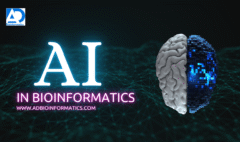 Social media strategy