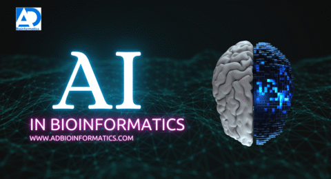 Social media strategy