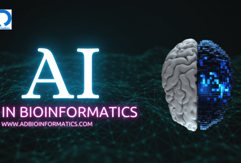 Social media strategy