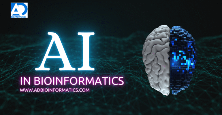 Social media strategy