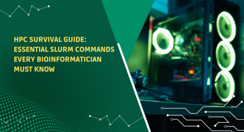 for graphic design video creators