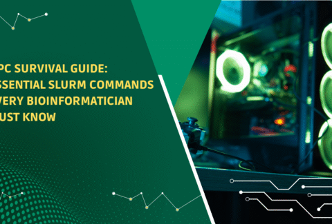 for graphic design video creators